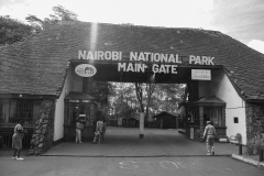 nnp-1
